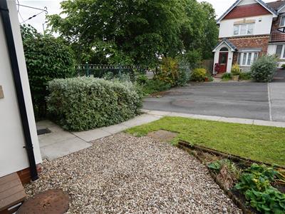 Picture 11